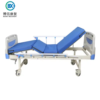 Hospital furniture ABS Two crank electric hospital bed