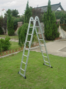 Multi-purpose ladder-LC104