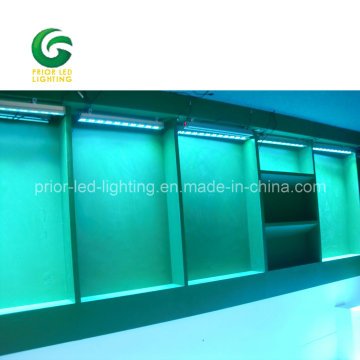 Wireless DMX Washer Light