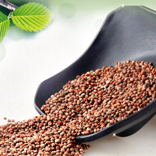 Fructus Perilla seed extract