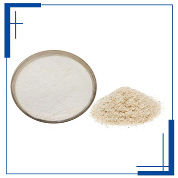 Bekalan Kilang Psyllium Husk Powder