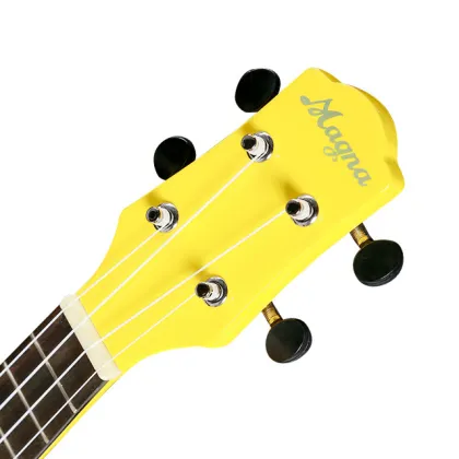 Professional electro acoustic guitar tops Acoustic Guitar
