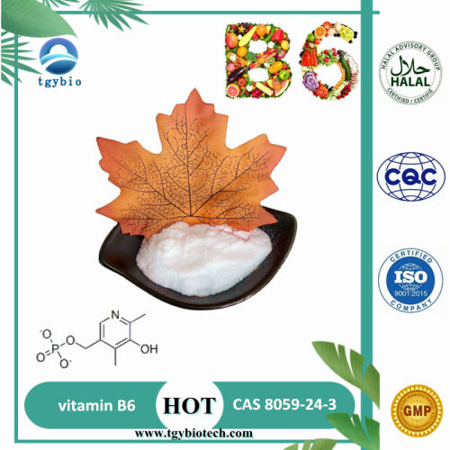 Vitamin C Healthcare Materials Vitamin B6 Pyridoxine Hydrochloride Factory