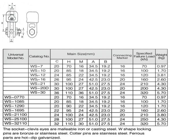 WS Socket Clevis 4