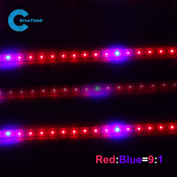 High Quality Indoor Plant Led Grow lights Spectrum