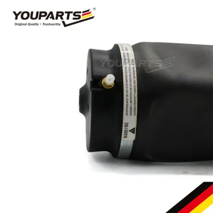 YOUPARTS 2513200425 Air Spring Air Bag Suspension for Mercedes-Benz R-Class W251