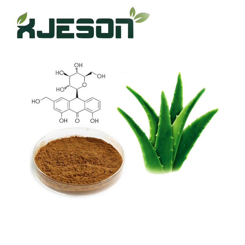 Aloe Vera Extract Powder Benefícios