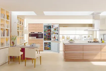 Built-in Refrigerators for Kitchen Appliances