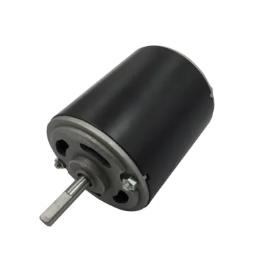 76mm DC 24V 100W 3000RPM Water Pump Motor