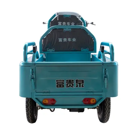 Cargo Bike Tricycle: 3 Wheel Electric Folding Electric Tricycle