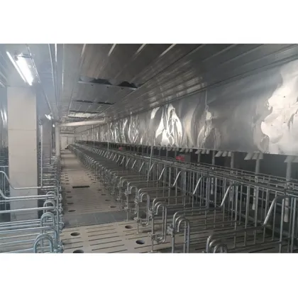 Hot Dip Galvanized Pig Gestation Stalls for Hog Farms