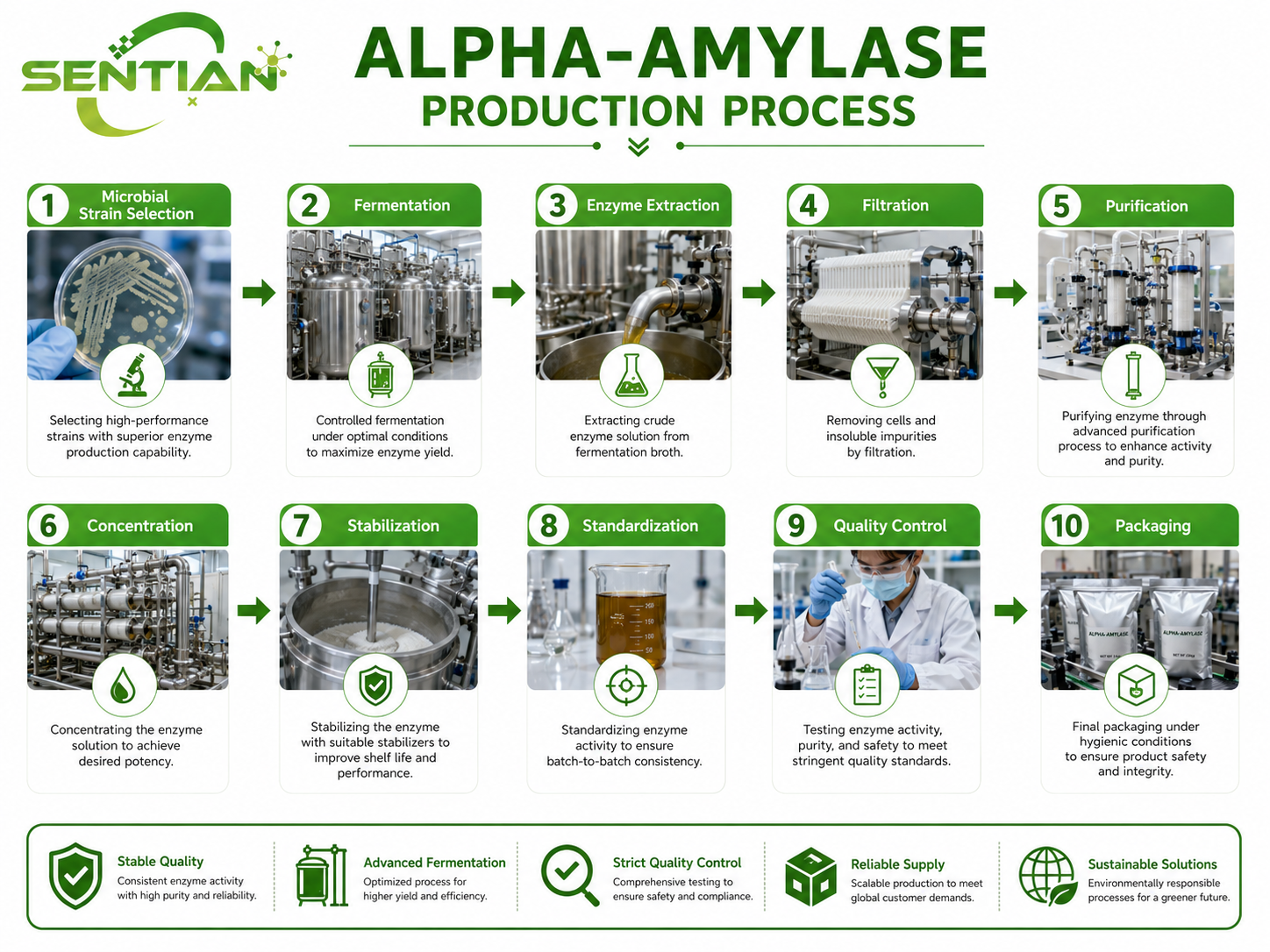 Alpha-amylase (3)