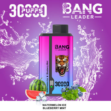 Bang Leader 30k Disposable Vape Europe Warehouse Stock