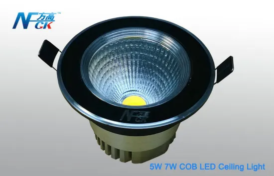 Residential 5w Cob Led Ceiling Light Ce Rohs Nature Light Led