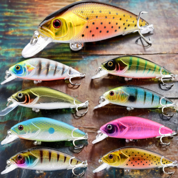 NEWMAJOR Floating Hard Plastic Minnow Lure with Sound Bead and Blood Tank Hook
