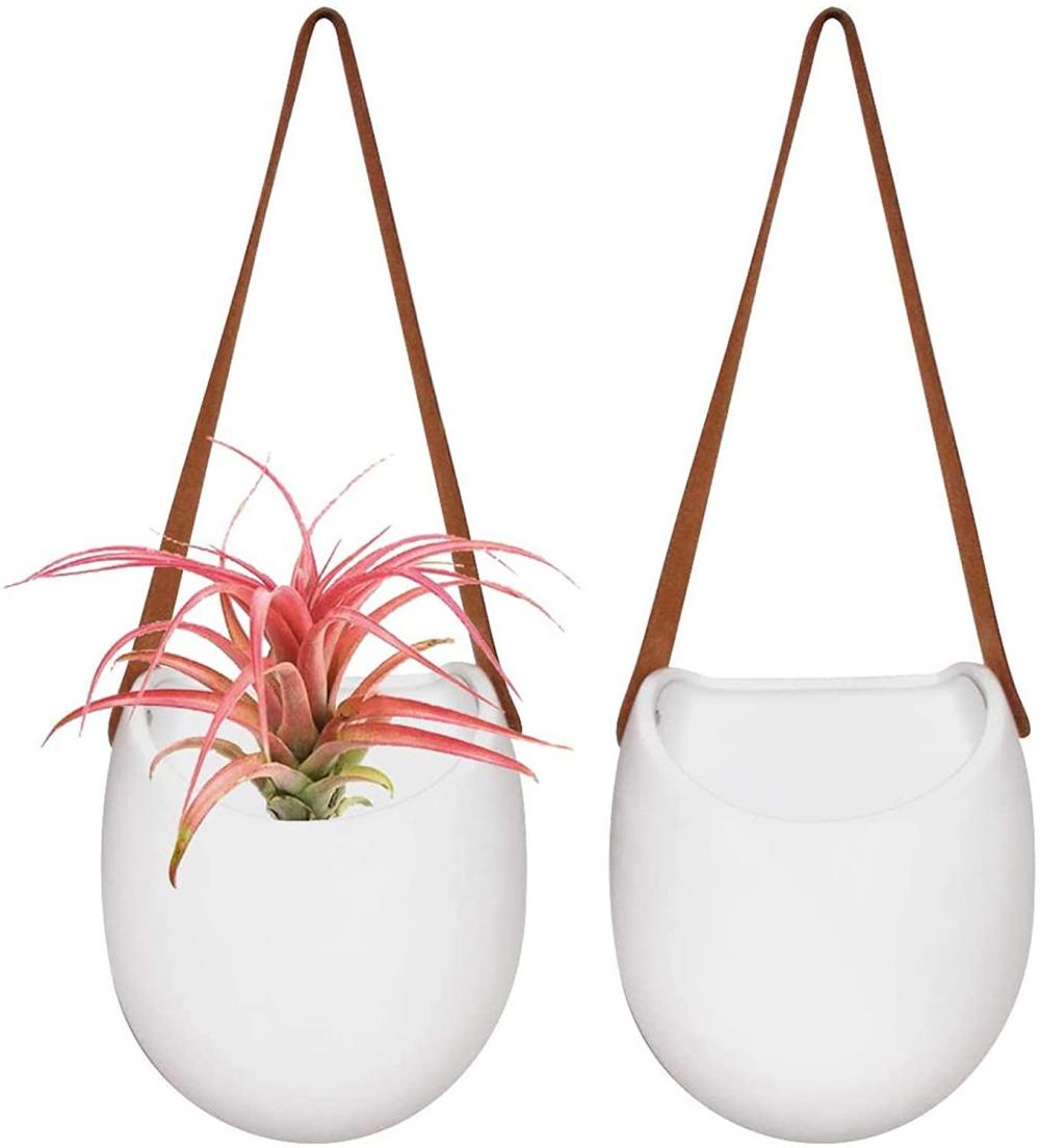 Unglazed Ceramic Air Plant Holder Indoor