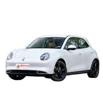 2024 Ora Good Cat 5-Door 5-Seat Pure Electric Vehicle: A Comprehensive Guide to the New Energy Comfortable Car
