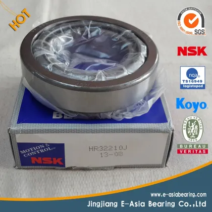 SKF NSK NTN Timken Cylindrical Roller Bearing