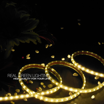 Waterproof Flexible 220V LED Strip 5730 Light