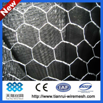 pvc coated/galvanized hexagonal wire mesh