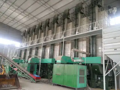 CLJ Manufacture Rice Dryer: Low Temperature Circulating Paddy Rice Dryer at Reasonable Prices