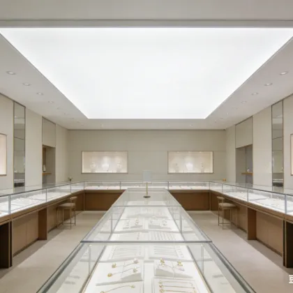 Ceiling-mounted LED ambient light