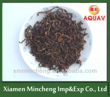 highly nutritious Sun dried earthworm/SD earthworm