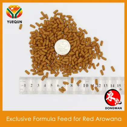 Compound feed for Red Arowana