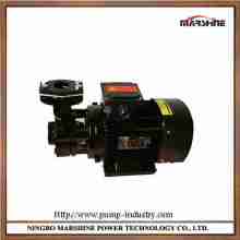 380V Horizontal high temperature circulating oil gear pump