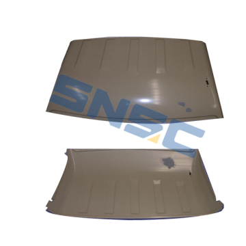 H00-5701011-DY DACHBAUGRUPPE Karry Chery