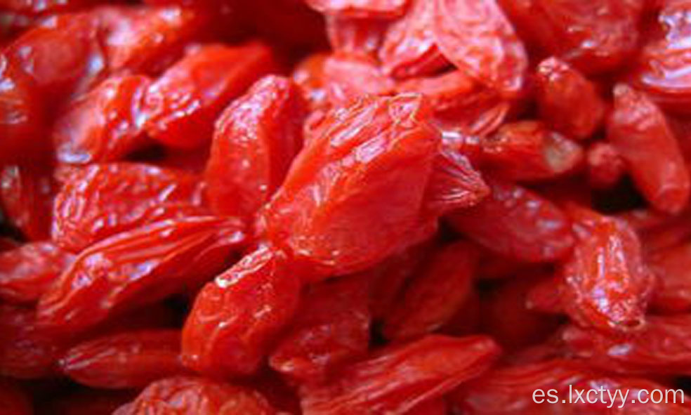 baya de goji liofilizada