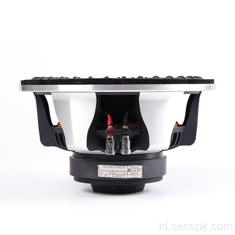 10 inch Subwoofer Mobil Berkualitas Tinggi