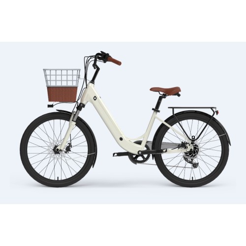 Electric Race Bike EU Warhouse Pedal Assist Ebike Supplier