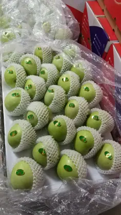 Orgin fresh Green Granny Smith apples