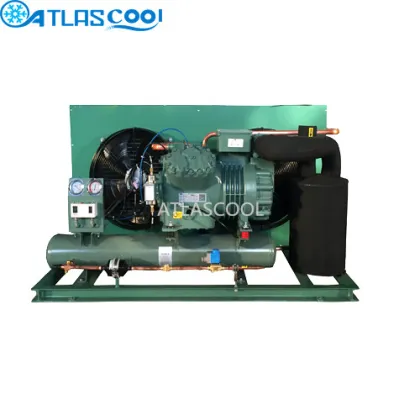 Bitzer condensing unit for cold room