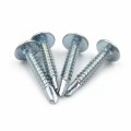 Modified Head Self Tapping Screw