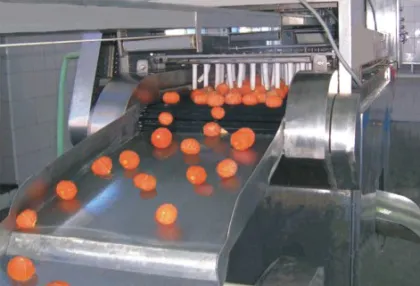 Orange Fruit Can Production Line