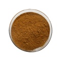 Buy online customizing Mango Seed Extract powder for