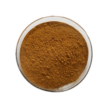 Buy online customizing Mango Seed Extract powder for