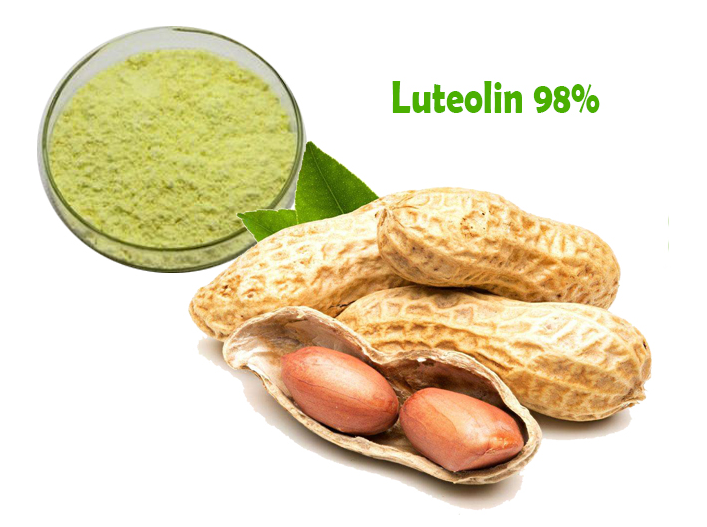 Peanut Shell extract Luteolin