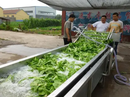 Professional Vegetable and Fruit Washer: Green Vegetable Washing Machine