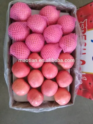 Fresh Style bulk fresh fruit
 Fresh Style bulk fresh fruit
