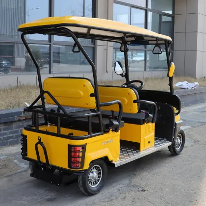 Mini Electric Car for Sale