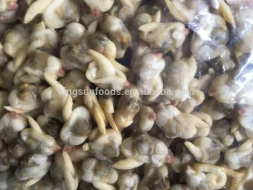 Frozen Yellow Clam Meat