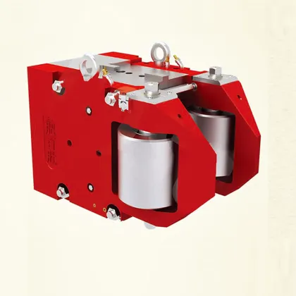DANIELI 1000 Model Rolling Guides