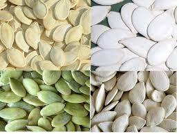 GWS Pumpkin Seeds kernels shine skin pumpkin seeds kernels factory