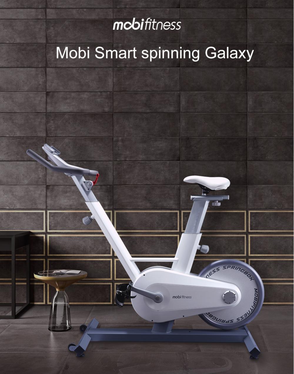 Mobi Galaxy Spinning Bicycle