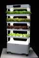 Verticale toren Home System Tijdregeling Hydroponic