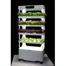 Vende-se Cabinet Type Hydroponic Home Used Plant Plantador