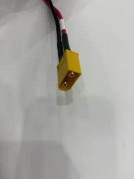 Custom Power Exchange Wiring Harness